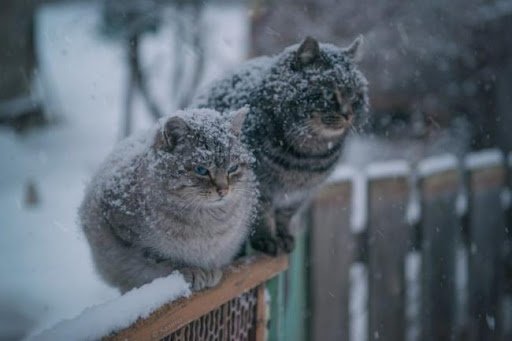 На Тернопільщині в середу сніжитиме 