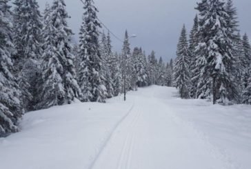 Неділя на Тернопільщині буде хмарною і прохолодною