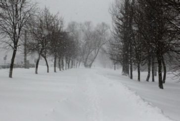 На Тернопільщині у вівторок очікуються хуртовини