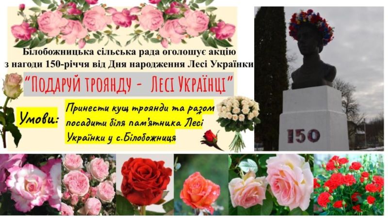 У Білобожниці на Тернопільщині посадять 150 кущів троянд до ювілею Лесі Українки