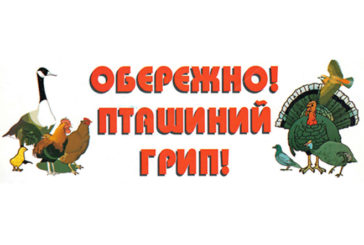 У Тернополі в міському зоокутку виявили спалах пташиного грипу