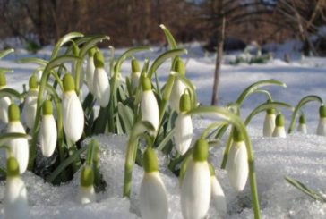 Яку погоду очікувати на Тернопільщині в перший день весни