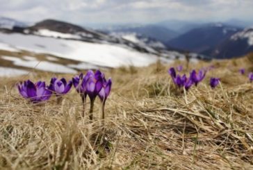 У четвер на Тернопільщині буде тепло