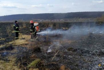 На Тернопільщині активізувалися палії сухої трави