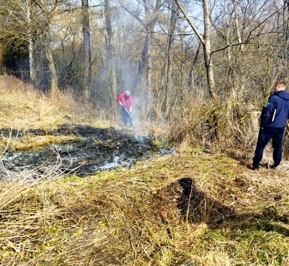 Загроза ракових захворювань і чималі штрафи – жителів Тернопільщини просять не палити суху рослинність