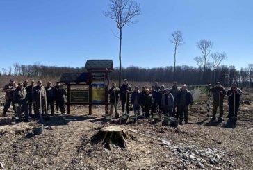 Лісівники запрошують жителів Тернопільщини долучитися до весняної лісокультурної кампанії й посадити своє дерево