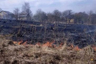 На Тернопільщині вже виникло 33 пожежі через паліїв сухої трави