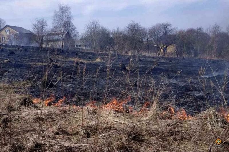 На Тернопільщині вже виникло 33 пожежі через паліїв сухої трави