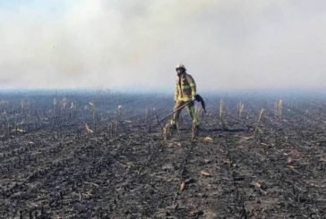 На Тернопільщині знову горить суха трава: 18 пожеж за добу