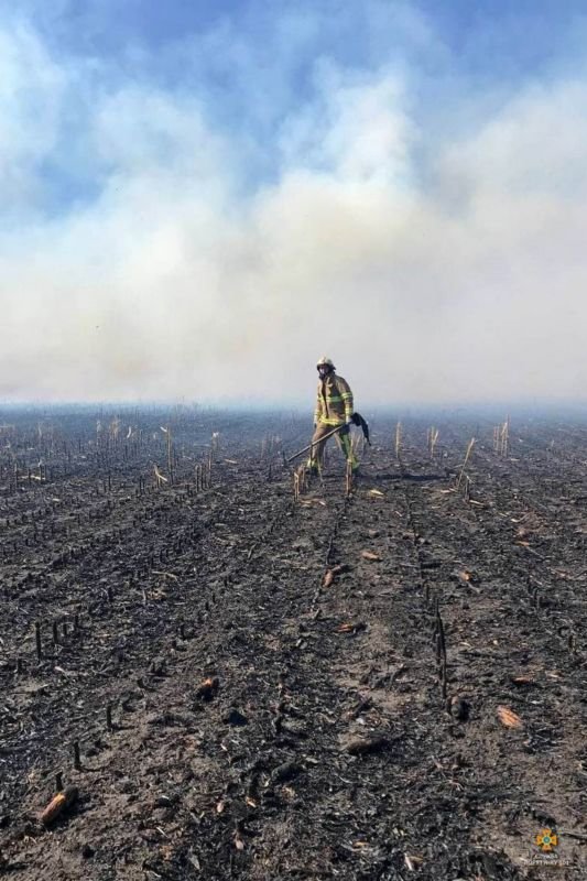 На Тернопільщині знову горить суха трава: 18 пожеж за добу