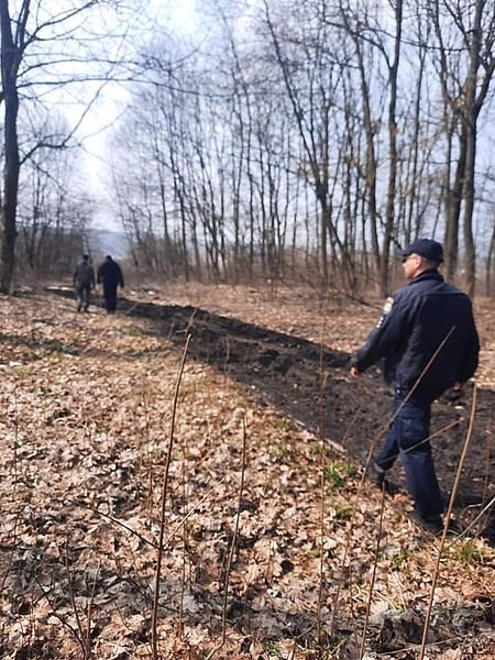 На Тернопільщині проводять рейди, щоб зберегти ліс від незаконних рубок