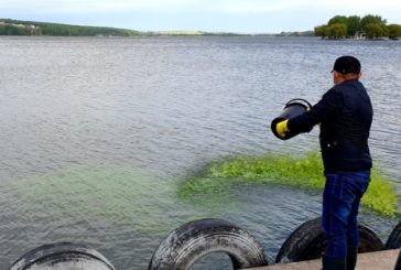 У Тернопільський став внесли спеціальні водорості - це дозволить покращити якість води