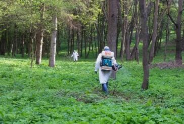 У Тернополі, на території дитсадків та в парках, знищуватимуть кліщів