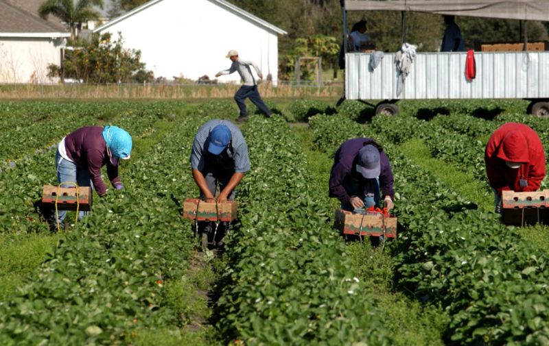 У Польщі скаржаться на нестачу українських робочих рук