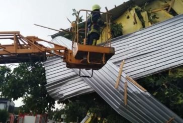 У Заліщиках на Тернопільщині сильний вітер зірвав покрівлю з будинку та повалив дерево на авто (фото)