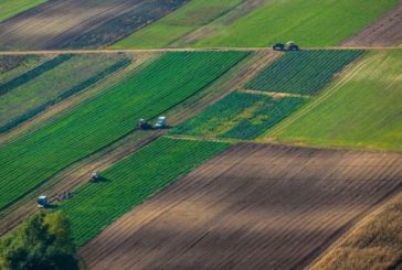 Землі у власності малолітніх та неповнолітніх дітей: що треба знати батькам та опікунами