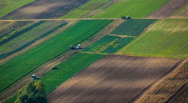 Землі у власності малолітніх та неповнолітніх дітей: що треба знати батькам та опікунами