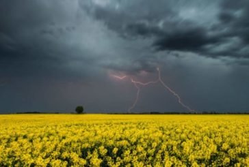 На Тернопільщині у п’ятницю буде свіжо і ймовірний дощ з грозою