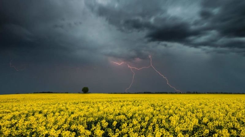 На Тернопільщині у п’ятницю буде свіжо і ймовірний дощ з грозою