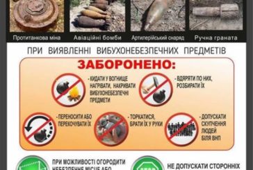 На Тернопільщині виявили вісім артснарядів