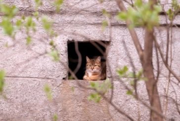 Холод ще більше остудить Тернопільщину