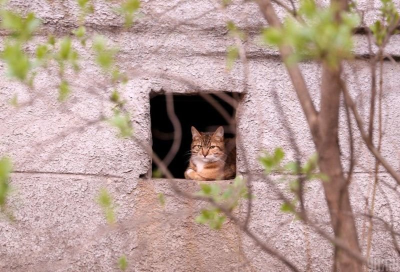 Холод ще більше остудить Тернопільщину