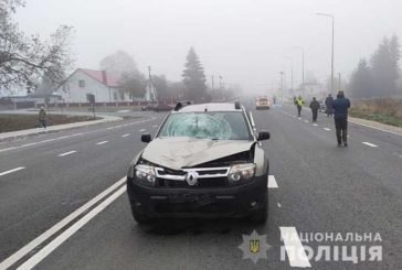 На Тернопільщині в аварії загинув чоловік: переходив дорогу через нерегульований пішохідний перехід