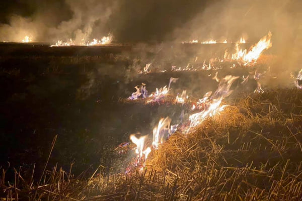 На Тернопільщині через паліїв сухої трави ледь не зайнявся ліс