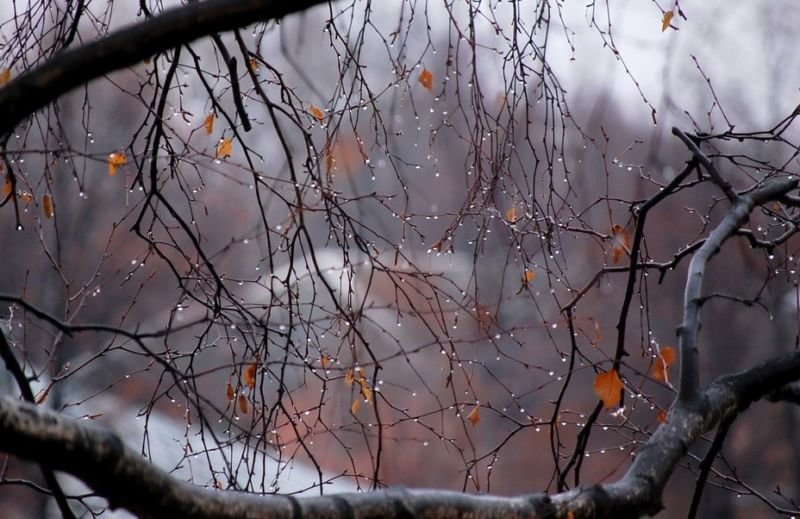Понеділок на Тернопільщині – холодний і мокрий