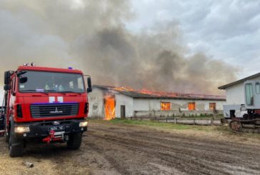 На Тернопільщині горіла тваринницька ферма