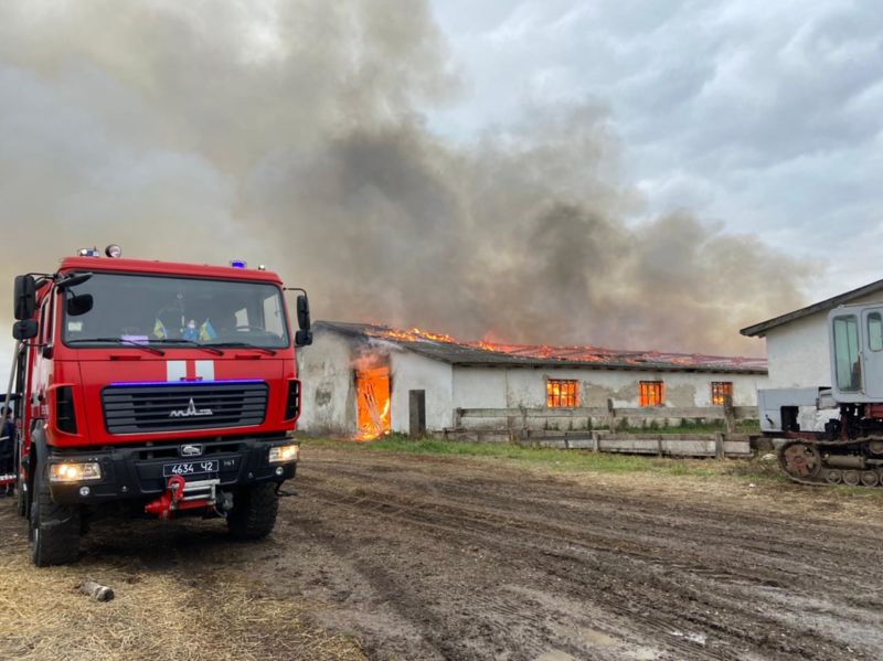 На Тернопільщині горіла тваринницька ферма