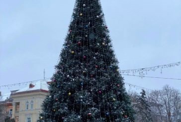 Головна ялинка Тернополя засяє вже цієї п'ятниці