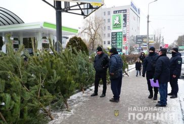 У Тернополі правоохоронці перевіряють легальність продажу ялинок та піротехніки