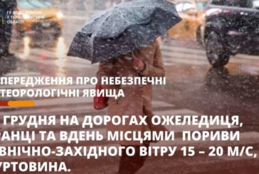 На Тернопільщині прогнозують хуртовини: оголосили 1 рівень небезпеки