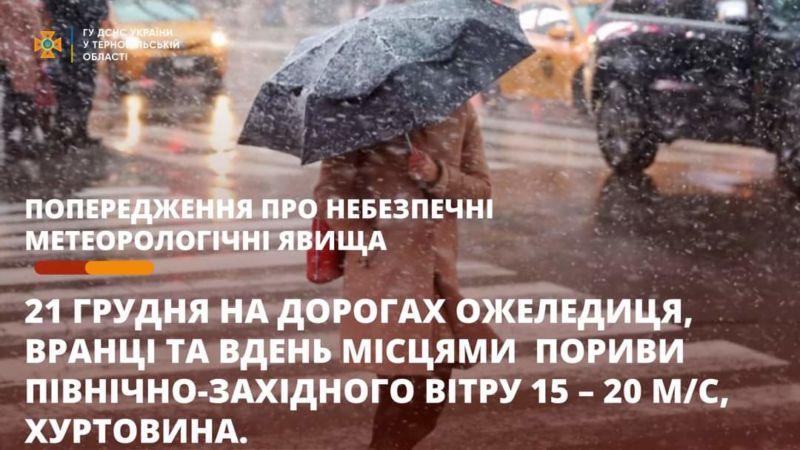 На Тернопільщині прогнозують хуртовини: оголосили 1 рівень небезпеки