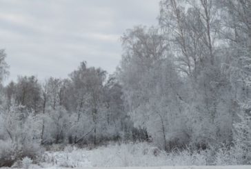 Тернопільщину не засипатиме снігом, але буде похмуро