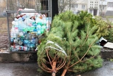 Як у Тернополі правильно позбутися новорічних ялинок