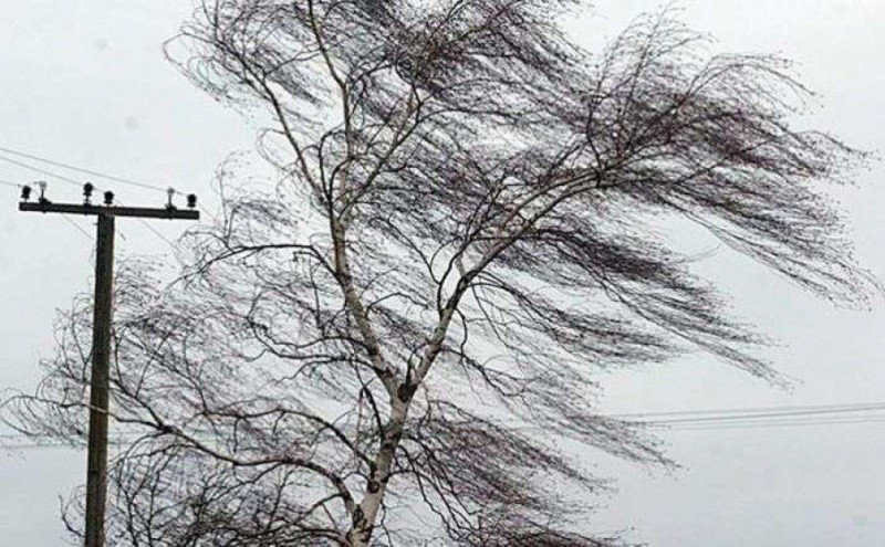 На Тернопільщині прогнозують сильний вітер