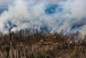 У зоні відчуження в районі ЧАЕС через бойові дії горить понад 10 тисяч гектарів лісів