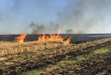 За спалювання сухої рослинності у період воєнного часу передбачено покарання у вигляді ув'язнення строком від 10 до 15 років