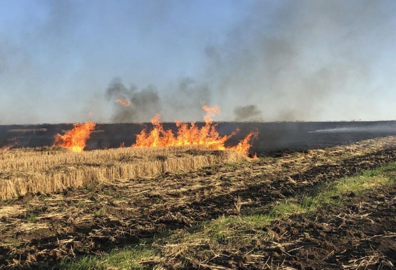 За спалювання сухої рослинності у період воєнного часу передбачено покарання у вигляді ув’язнення строком від 10 до 15 років