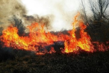 Через спалювання сухої трави загинув житель Тернопільщини