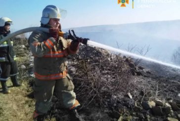 На Тернопільщині за добу - 42 підпали сухої трави