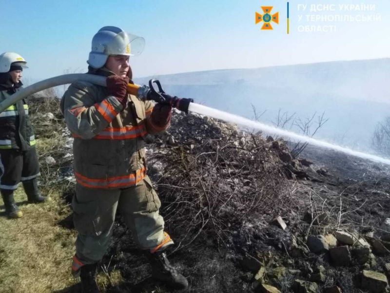 На Тернопільщині за добу – 42 підпали сухої трави