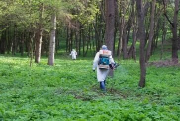 У Тернополі боротимуться з кліщами: просять не відвідувати два парки