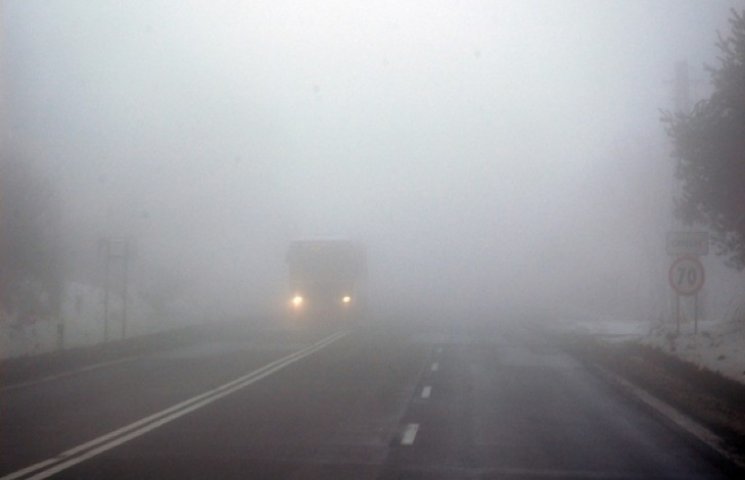 Синоптики попереджають про густий туман на Тернопільщині