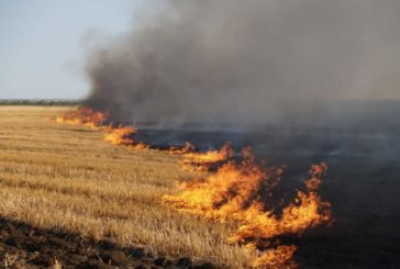 На Тернопільщині рятувальники змушені витрачати пальне на гасіння займань сухостою - паліїв не спиняє навіть війна