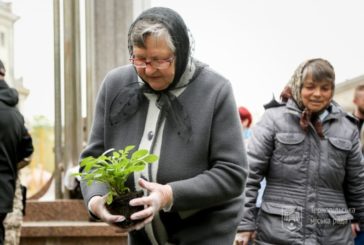 Квіти для матерів України: у Тернополі висадили символічні жоржини й бегонії