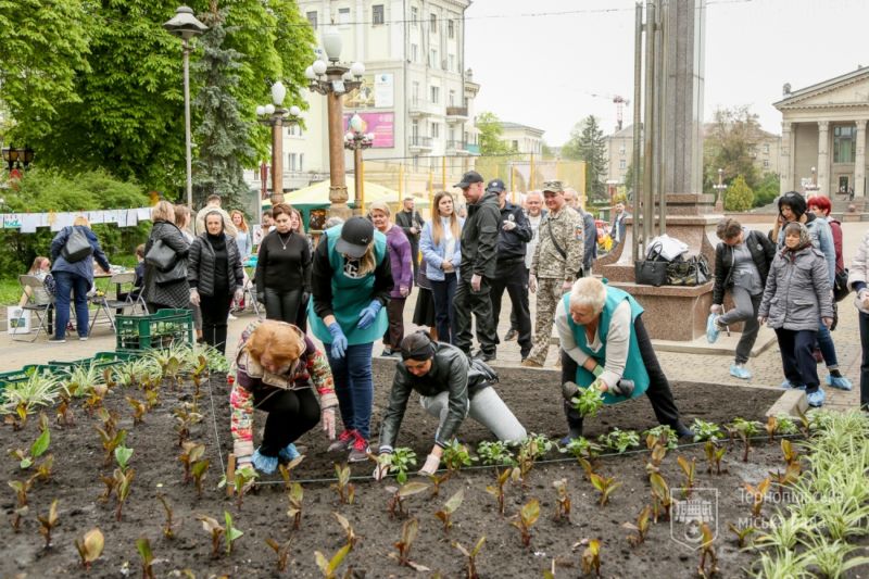 У центрі Тернополя висадили 150 бегоній та 80 жоржин до Дня матері