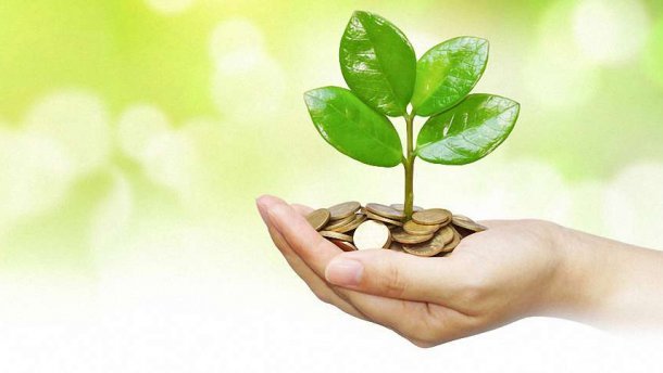 Підприємства та компанії Тернопільщини сплатили 12,1 млн грн екологічного податку